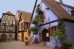 Alsace, cigogne, bretagne, winstub, crêpe, bière, humour